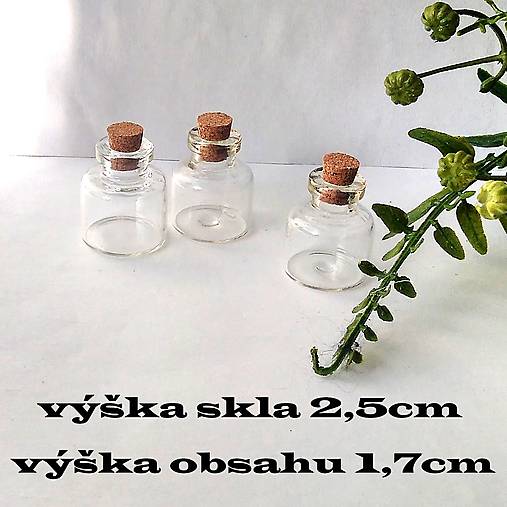 Polotovary - Sklenená fľaštička-výška skla 2,5cm-výška obsahu 1,7cm - 16680149_