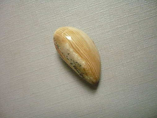 Minerály - Troml. – dřevitý opál, 24 mm, č.32f - 16722924_