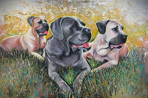 Obrazy - ,,Zlatíčka,, 120x80 - 16753959_