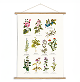  - Botanický obraz byliniek (Giclée Print) (15% ZĽAVA // A2 Jemne krémový papier s gramážou 350g/m2) - 16760296_