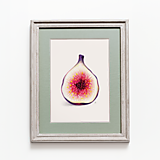  - Obraz Figa (Print) - 16769546_