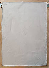 Obrazy - Obilie Triptych - Odliatok zo sadry - 16780822_