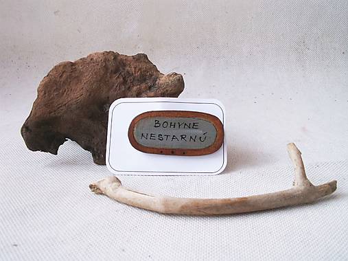 Bohyne nestarnú - brošňa