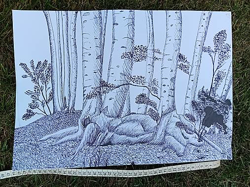 Dobrý obchod - Krajinka perokresba-obrázok od brata Šimona s autizmom - 16792939_