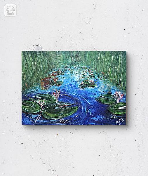 Obrazy - Petržalské lekná II - 16795061_