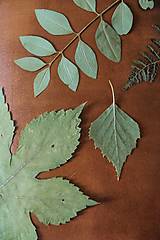 Papiernictvo - A5 Kožený obal na zápisníky - listy - 16797019_