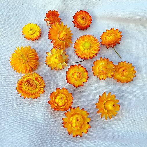 Suroviny - Slamienka - žíhaná žlto/bronzová - 16826158_