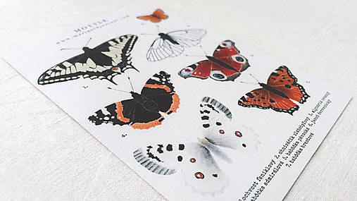 nálepky // motýle