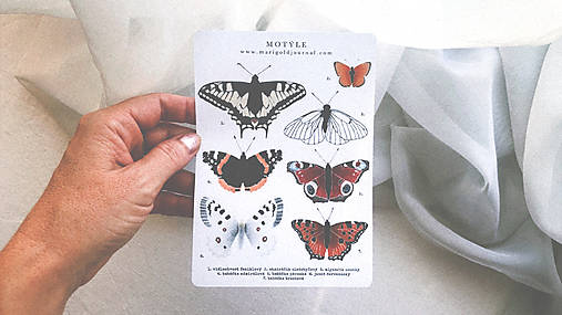 nálepky // motýle