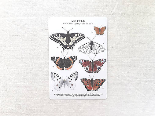 nálepky // motýle