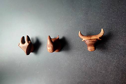 Set nástenných vešiakov SAVANA drevo orech