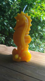 Sviečky - Sviečka morský koník - 16866416_