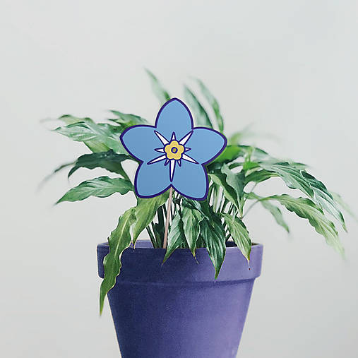 Dekorácie - Floral zápich do kvetináča (s obrysmi)  (nezábudka belasá) - 16869341_