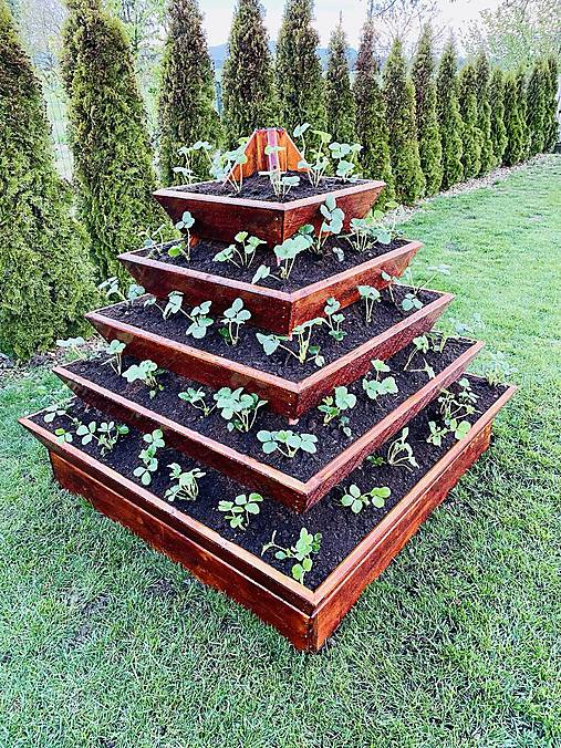 Nádoby - Jahodník Pyramída v komplet prevedení (S povrchovou úpravou) - 16888216_