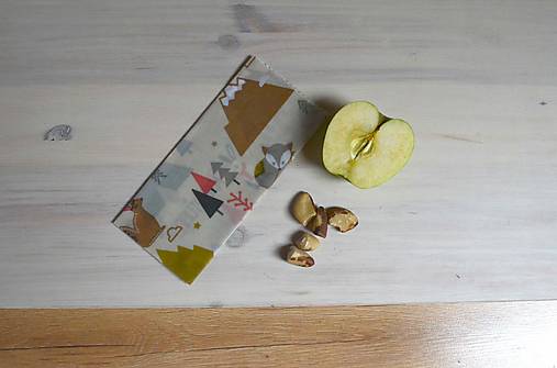 Úžitkový textil - ZERÁČE Sváča pro holky a kluky - ZERO WASTE - 16895381_