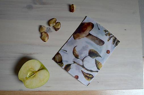 Obalový materiál - Svačinář - ZERO WASTE - 16896186_