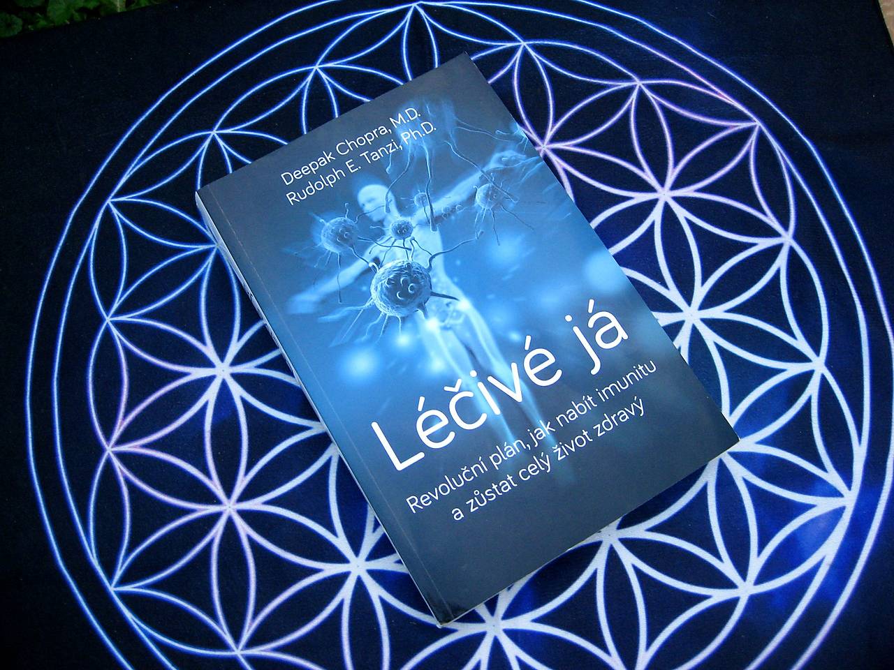 Kniha Léčivé já