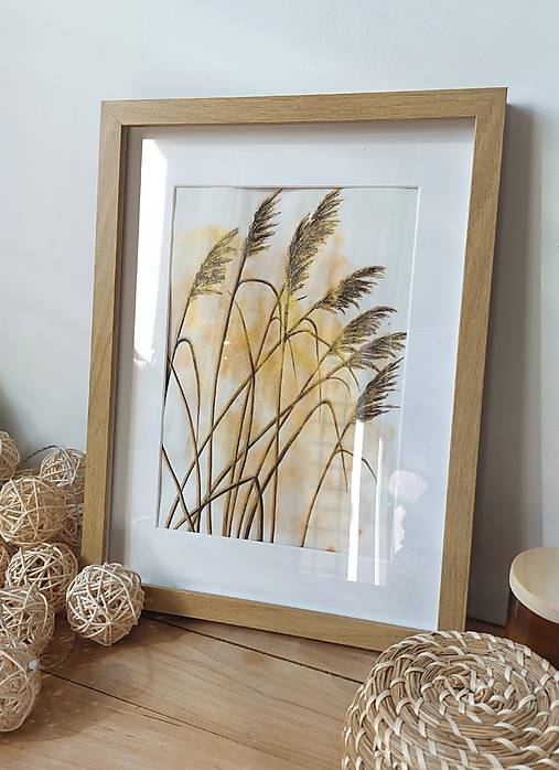 Obrazy - Trávy - 16916577_