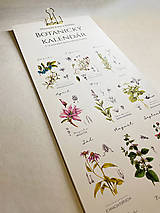 Papiernictvo - Veľký botanický kalendár 2025 / ✿ Výpredaj ✿ - 16927853_