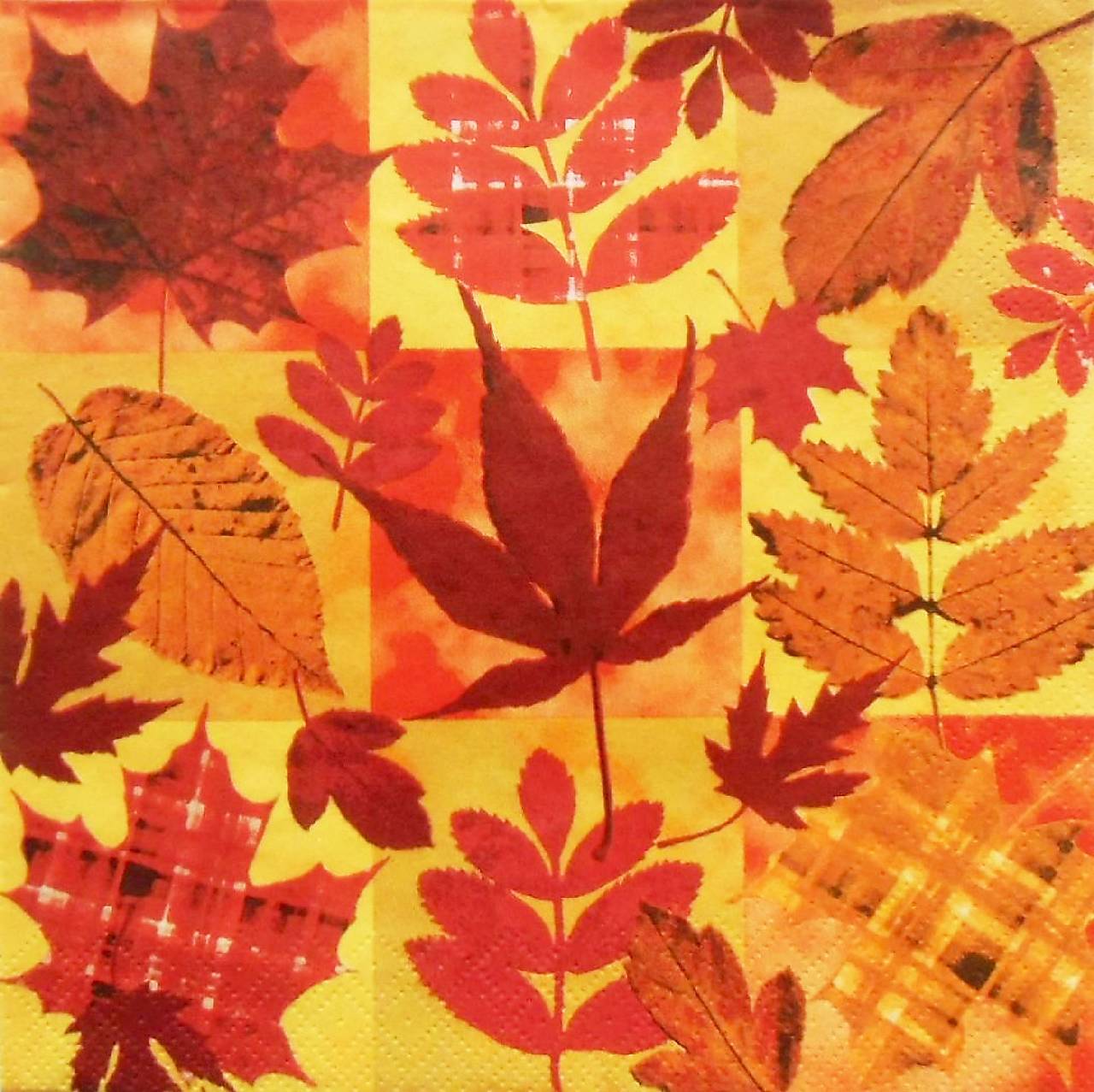 S802 - Servítky - listy, jeseň, autumn, javor