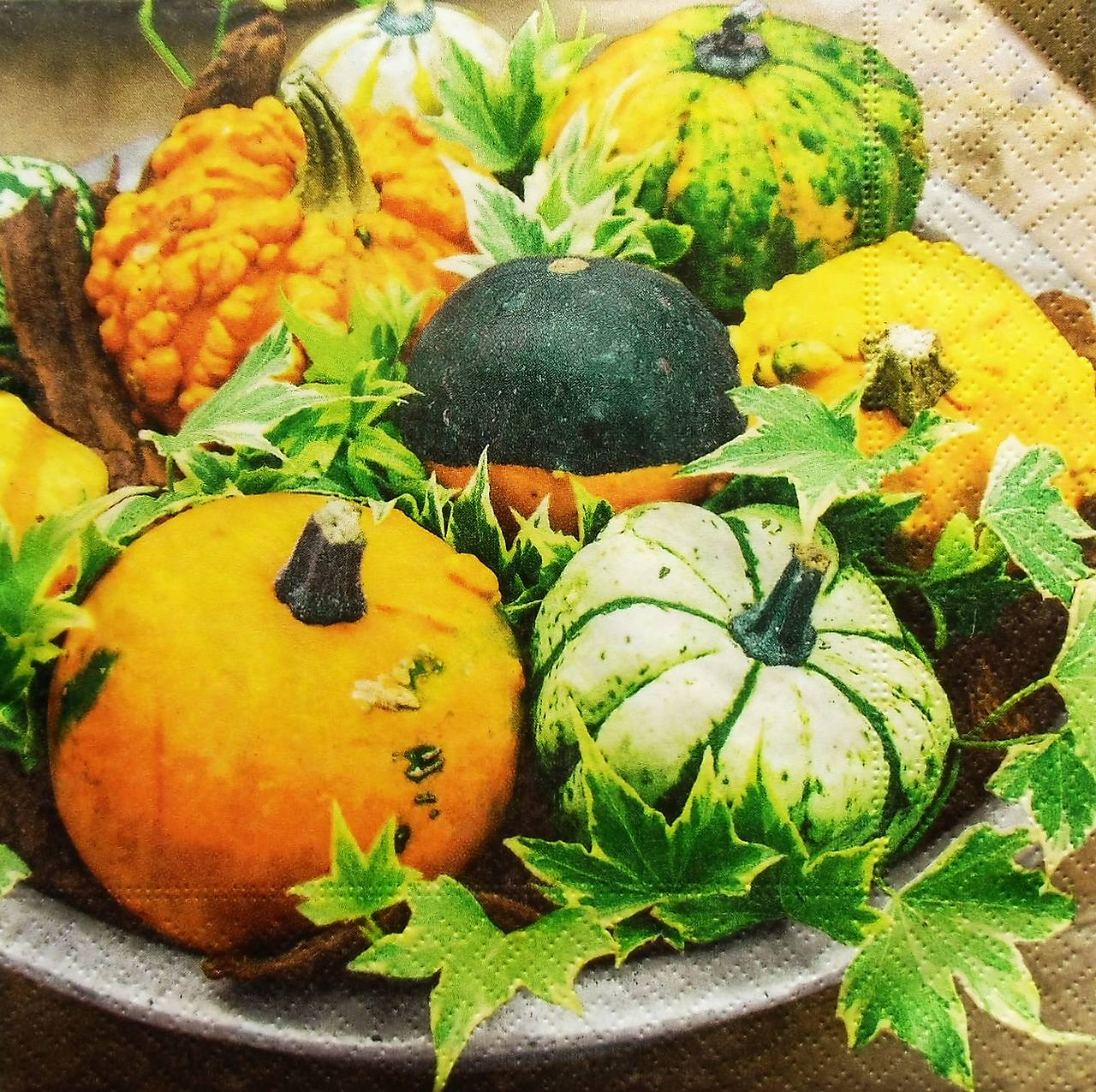 S1282 - Servítky - jeseň, tekvice, záhrada, okrasné