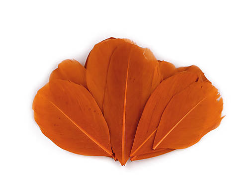Suroviny - Husacie perie 5-8 cm (lososová tmavá) - 16952950_