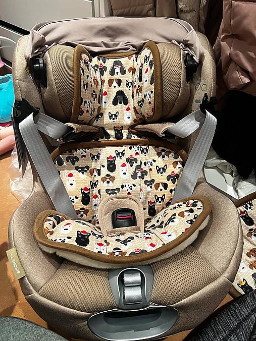 Detský textil - VLNIENKA zmenšovacia vložka do autosedačky Cybex Sirona T 100% Merino top super wash Natural Psíček béžový - 16961331_