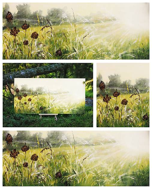 Obrazy - Slnečný deň 120x60 - 16960276_