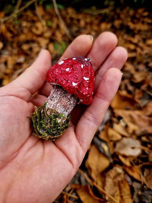 Dekorácie - Muchotrávka Zerowaste - 16994373_