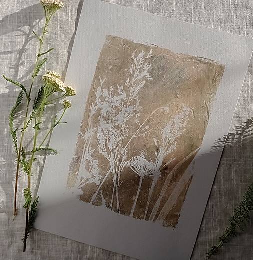 Grafika - Botanická ilustrácia/print Divokrásne no.1 - 17000635_