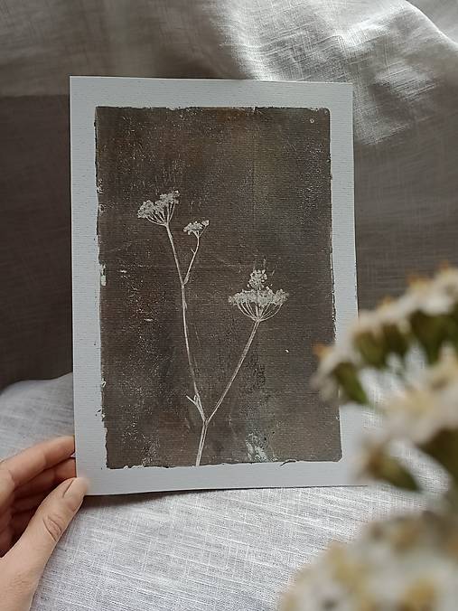 Grafika - Botanická ilustrácia/print Divokrásne no.3 - 17000884_