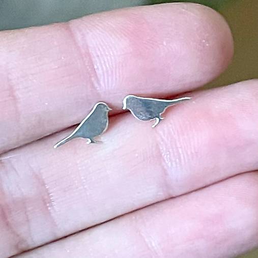 Nightingale AG925 Stud Earrings / Náušnice Slávik AG925