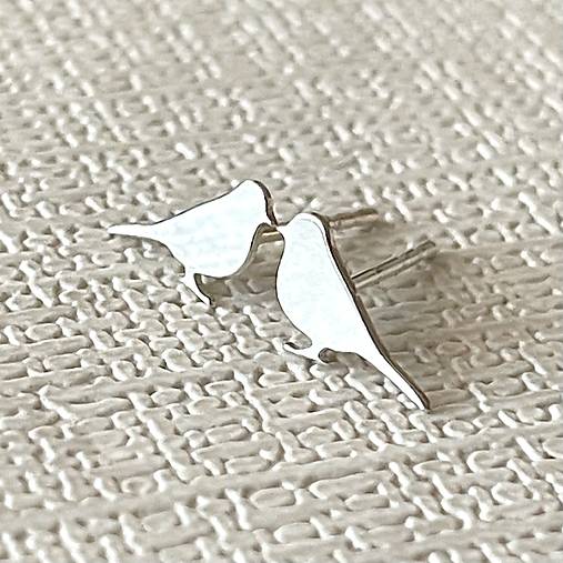 Nightingale AG925 Stud Earrings / Náušnice Slávik AG925