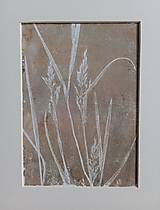 Grafika - Botanická ilustrácia/print Divokrásne no.7 - 17008406_