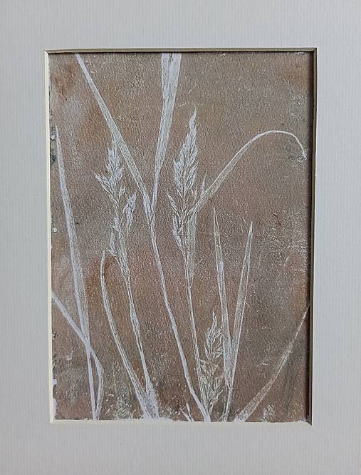 Grafika - Botanická ilustrácia/print Divokrásne no.7 - 17008406_