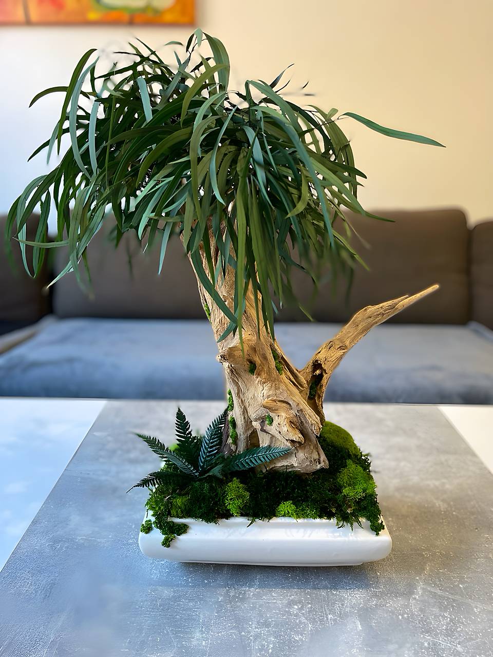 Stabilizovan Bonsai Eukalyptus XL / origreen - SAShE.sk - Handmade  Dekorcie