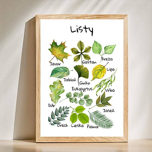 Hračky - Plagát Listy, montessori, PDF - 17009218_