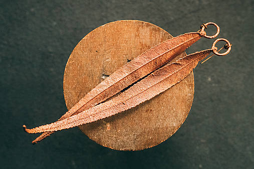 Náušnice - Náušnice vŕba  (11x 1 cm) - 17019965_