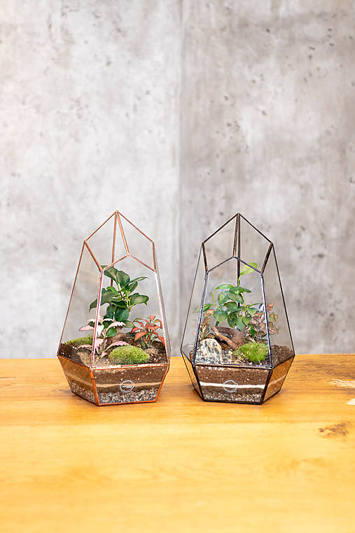 Dekorácie - Zatvorené rastlinné terárium "CHRÁM" - 17053769_