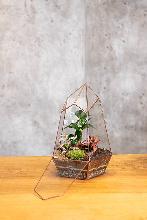 Dekorácie - Zatvorené rastlinné terárium "CHRÁM" (Meď/Bronz) - 17053781_