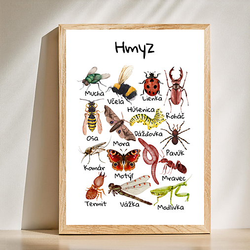 Hračky - Plagát Hmyz, montessori, PDF - 17051812_