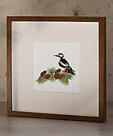 Obrazy - Obraz Ďateľ veľký - Giclée Print - 17069672_