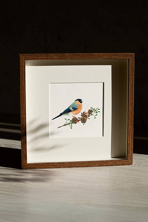 Obrazy - Obraz hýľ obyčajný - Giclée Print - 17069684_
