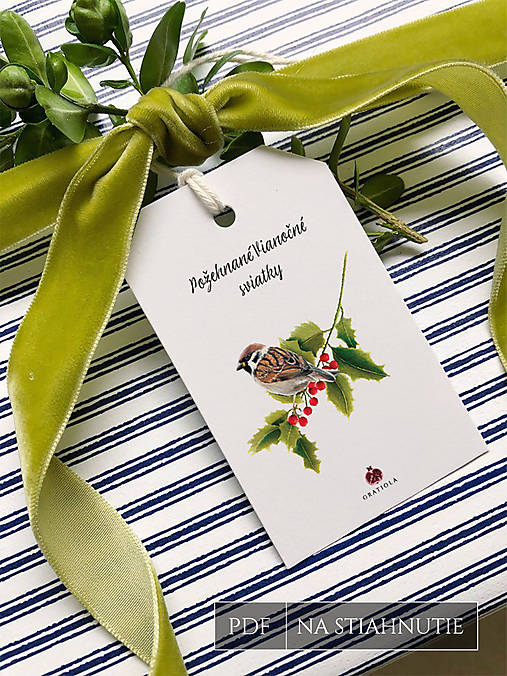 Grafika - Vianočné menovky na darčeky - digitálny produkt na stiahnutie - 17075901_