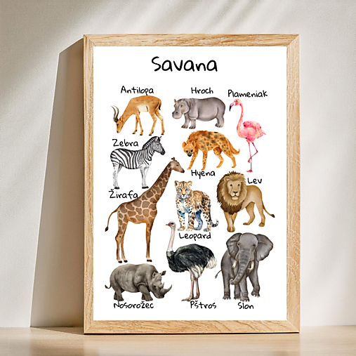 Hračky - Plagát Zvieratká Savana, montessori, PDF - 17081084_