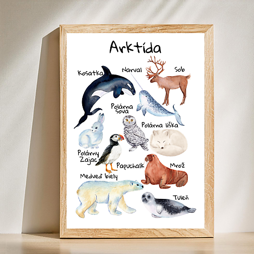 Hračky - Plagát Zvieratká Arktída, montessori, PDF - 17083476_