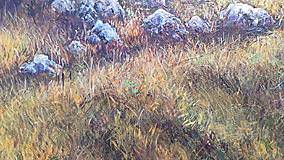 Obrazy - Veľká Fatra- Zo Suchého na Ostredok - 17090864_