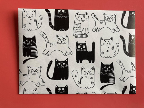 Papiernictvo - obálka mačky - 17112097_