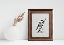 Grafika -  Print Art| Sýkorka na vetve - 17113504_