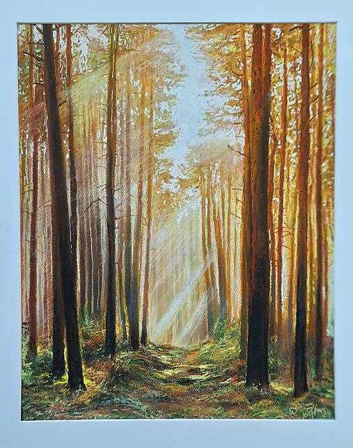 Obrazy - ~ V kráľovstve borovíc ~ - 17130297_